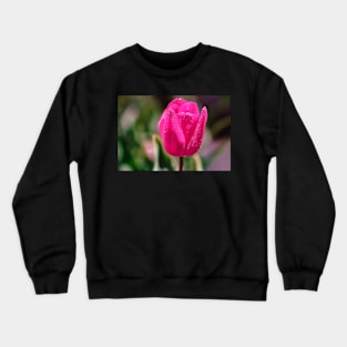 Pink tulip close-up Crewneck Sweatshirt